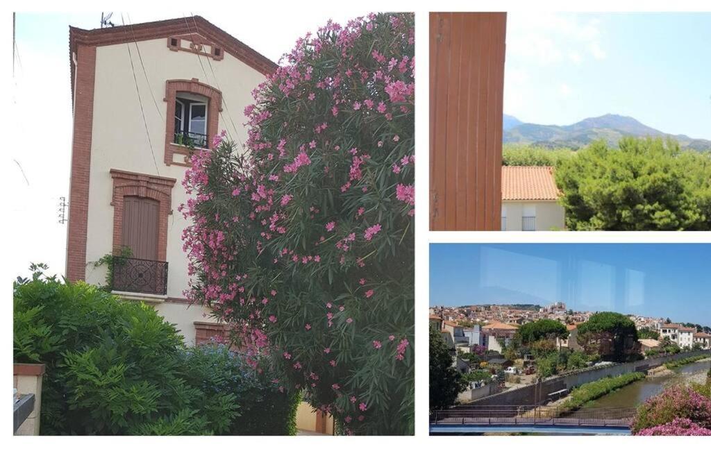 Appartement 300 M Plage Et Port Banyuls-sur-Mer Exterior foto
