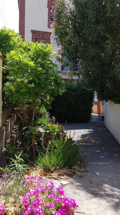 Appartement 300 M Plage Et Port Banyuls-sur-Mer Exterior foto